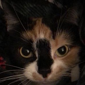 Meet your Posher, Terry